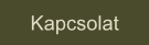 Kapcsolat