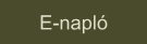 E-napló